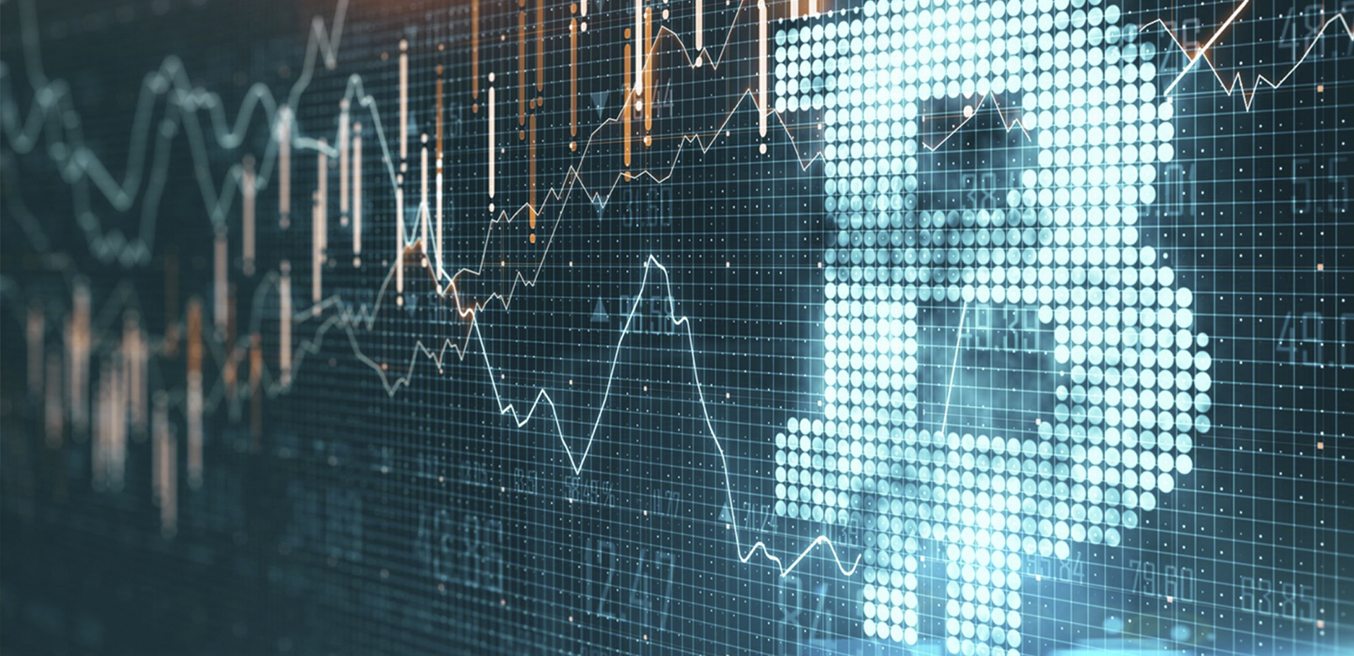 Abogados San Martín de los Andes